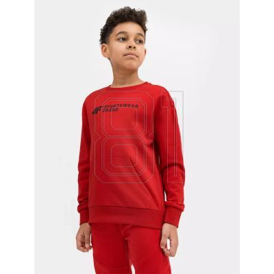 10. 4F Jr Sweatshirt 4FJSS23TSWSM222-62S
