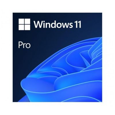 Microsoft Windows 11 Professional 64-Bit Polnisch 1-Pack DVD OEM