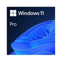Microsoft Windows 11 Professional 64-Bit Polnisch 1-Pack DVD OEM