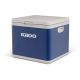 4. Elektrische Hybrid-Kompressor-/Thermoelektrik-Kühlbox IGLOO IH45 (43 Liter)