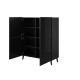 2. ABETO Bücherregal 100,5 x 40 x H 121,5 cm, schwarz/glänzend schwarz