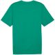 2. Puma Team Rise Logo Jersey Baumwolle M 658705 05