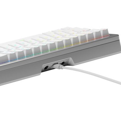 5. Glorious Gaming GLO-KB-GMMK3-PRO-65-PB-FOX-W-SIL-US-Tastatur