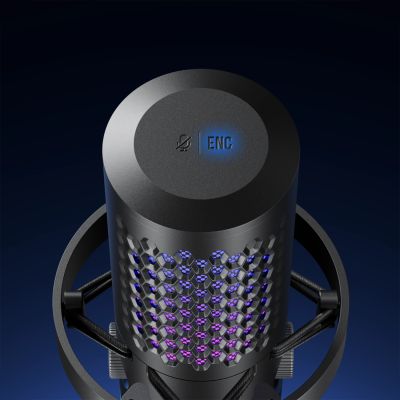 7. BOYA CastMic G40B Kabelgebundenes USB-C-Gaming-Mikrofon mit Mikrofonarm – Schwarz