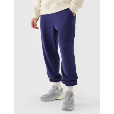 Herren Jogger Sweatpants 4F 4FWMM00TTROM1139-31S