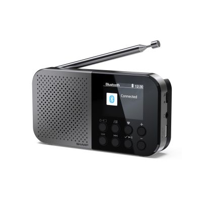 7. Sharp DR-P520 Personal Digital Grau