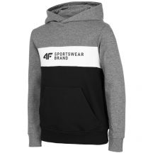 Sweatshirt 4F Jr HJZ22 JBLM003 24M