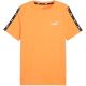 5. Puma Essential T-Shirt M 847382 58