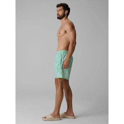 4. Herren-Boardshorts 4F 4FRSS26UBDSM260-90A