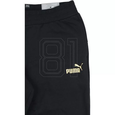 6. Puma Essential Jogginghose FL G Jr 846133 51