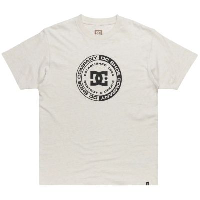 DC Corpo SS Tee ADYZT05396-SCVW Grau S