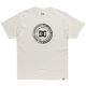 DC Corpo SS Tee ADYZT05396-SCVW Grau S