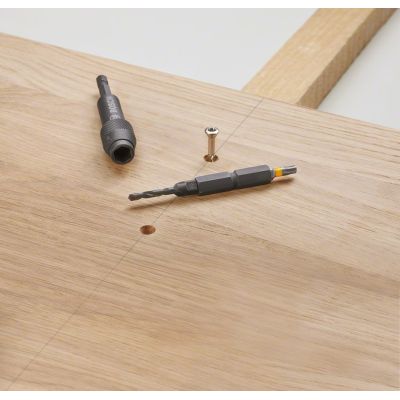 2. Bosch 2 607 002 786 Schraubendreherbit 20 Stück.