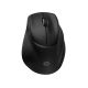 8. HP Tilt Ergonomic Black Mouse 720M Wireless / Bluetooth wireless black BH0Z4AA