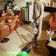 9. UWANT V800 Bodenstaubsauger mit automatischer Entleerungsstation – Grau