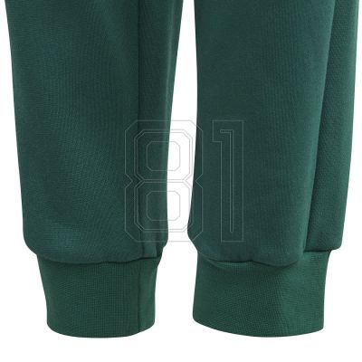 8. adidas BLUV Q3 Pant Jr IA1553