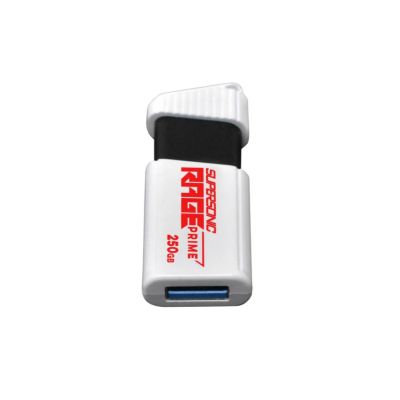 6. Patriot Rage Prime 600 MB/s 256 GB USB 3.2 8k IOPS
