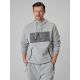 Herren-Kapuzenpullover, regulär, Größe 4F 4FRSS26TSWSM2975-20S