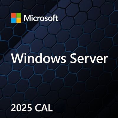 MS Windows Svr CAL 2025 PL 5Clt Geräte-CAL OEM