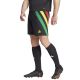6. adidas Fortore 23 M IK5736 Shorts