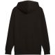 9. Puma ESS No.1 Logo Hoodie TR M 682572 01