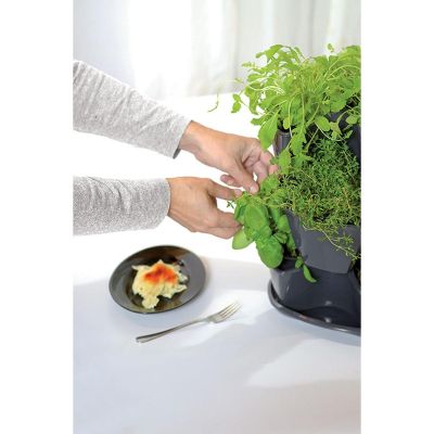 3. VERICAL GARDEN CASCADE KRÄUTERTOPF - WEISS