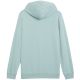 2. Puma Ess 2-farbiger kleiner No.1 Logo Hoodie TR M 684719 67