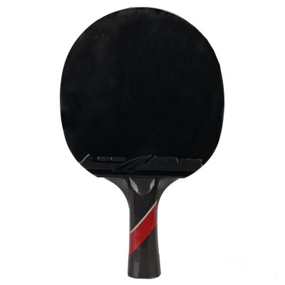 4. Tischtennisschläger Aurora PRO 5* SG 5002