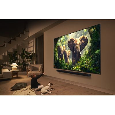 4. LG QNED 65QNED87A3B Fernseher 165,1 cm (65 Zoll) 4K Ultra HD Smart TV WLAN Schwarz