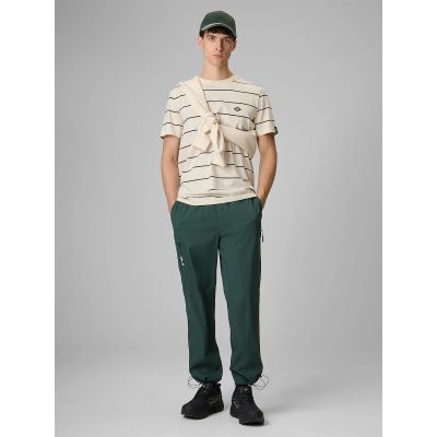 Herren-Jogginghose 4F 4FRSS26TTROM1915-40S