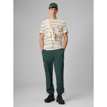 Herren-Jogginghose 4F 4FRSS26TTROM1915-40S