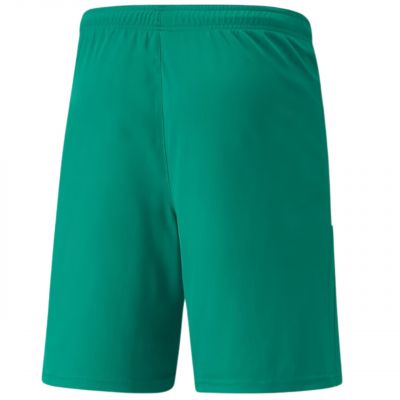 2. Puma teamLiga M 704924 05 Shorts