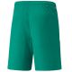 2. Puma teamLiga M 704924 05 Shorts