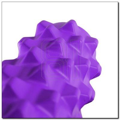 5. Fitnessrolle HMS PURPLE FS107 