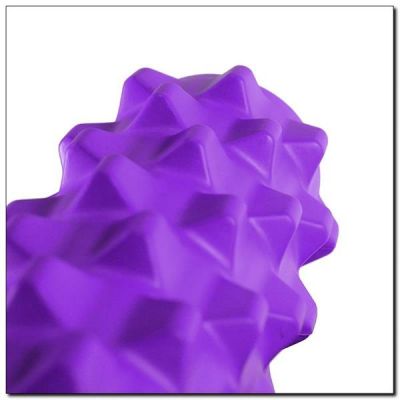 5. Fitnessrolle HMS PURPLE FS107 