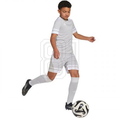 6. adidas Squadra 25 Jr Shorts JJ2427