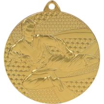 Goldmedaille – Karate – Stahlmedaille