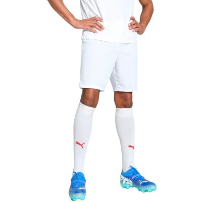 Puma Team Goal Herrenshorts weiß 705752 04