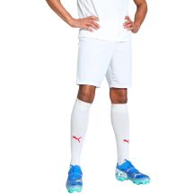 Puma Team Goal Herrenshorts weiß 705752 04