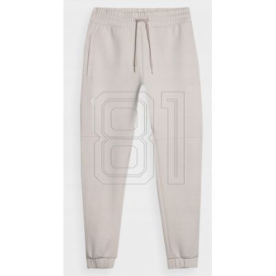 Trousers 4F M 4FSS23TTROM137BEIGE