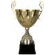 6. MUFA-Goldmedaille