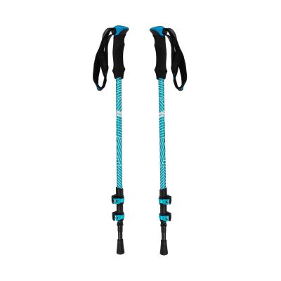 Viking Shiva Trekkingstöcke blau 610-24-1617-0970-UNI