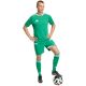 16. adidas Tiro 26 Wettkampftrikot für Herren, grün, KA6235
