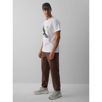 3. Herren-Cargo-Jogginghose 4F 4FRAW26TTROM2091-81S