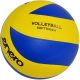 11. ENERO SPIN BLAUER VOLLEYBALL
