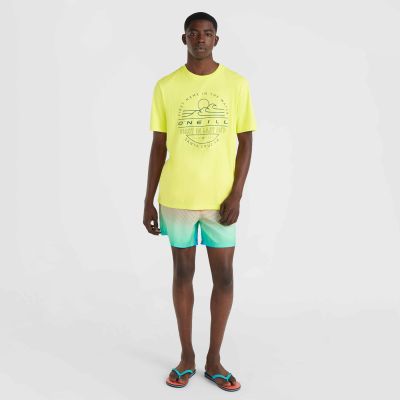 8. O'Neill Jack Cali Gradient 15'' Badeshorts M 92800613575