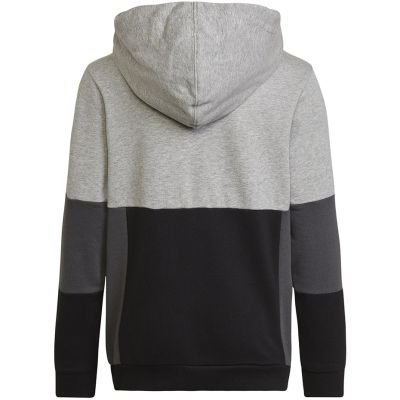 9. Adidas Colourblock Hoodie Jr HN8563 Sweatshirt