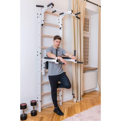 29. Turnleiter mit verstellbarer Stange und Griffbank, Modell 732W