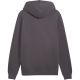 2. Herren-Kapuzenpullover Puma ESS 2 Color Small No.1 Logo Hoodie, grau, 684718 77