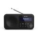 Sharp DR-P420 Tragbares Radio Schwarz